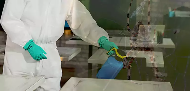 Why Buyers Still Want Homes With Pest Infestations in Fresno, CA?