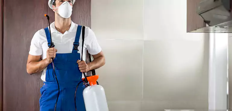 Why Fresno Homeowners Choose Us When Pests Make Selling Difficult